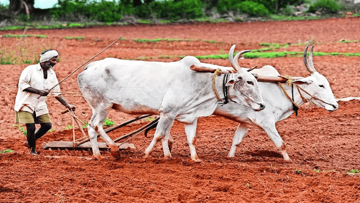 Drought Relief: ಕರ್ನಾಟಕ ಬರ ಪರಿಹಾರ ಸಭೆಯನ್ನು ಕೇಂದ್ರ ಇನ್ನೂ ನಡೆಸಿಲ್ಲ